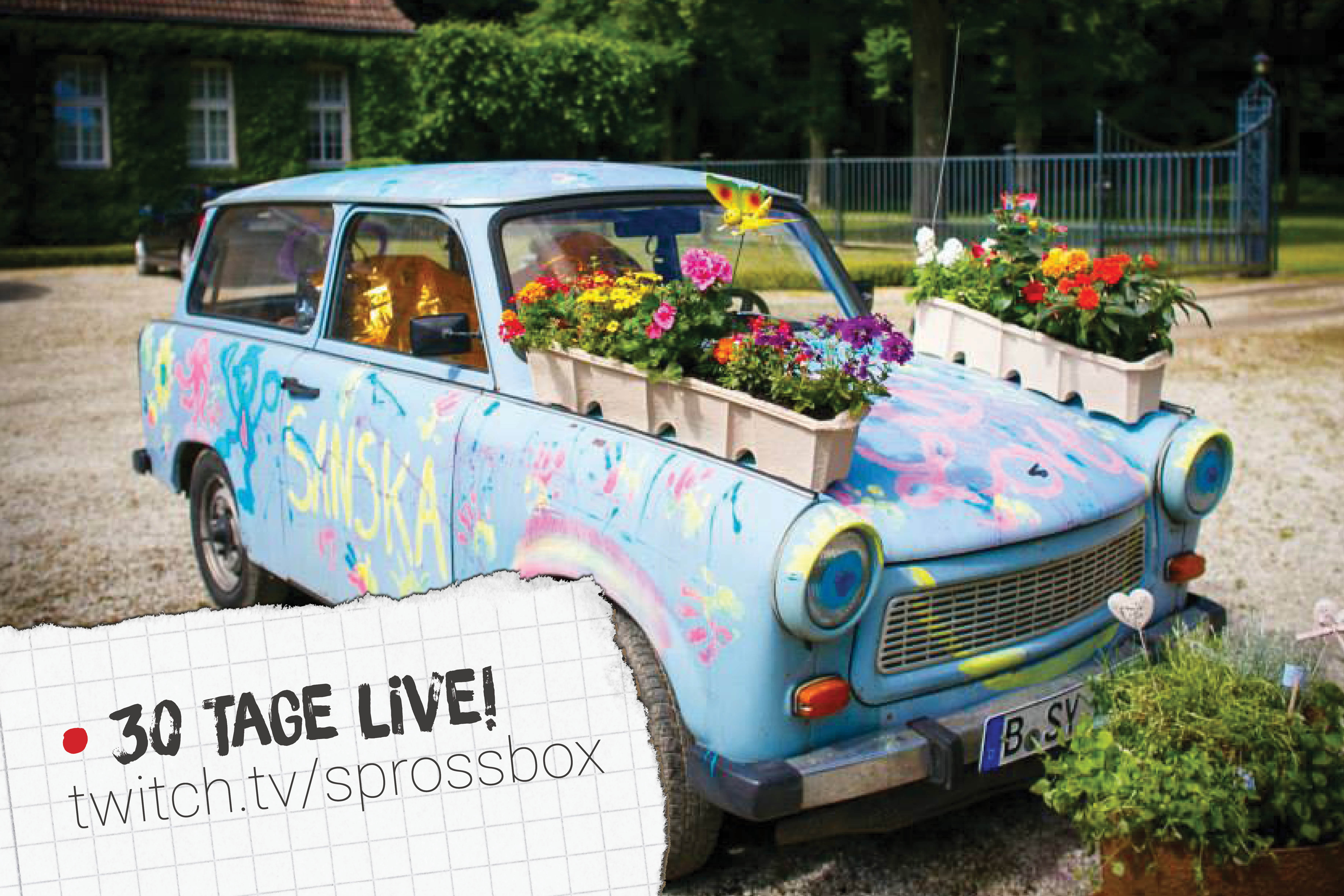 Trabbi mit Sprossbox